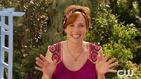 Hart of Dixie: Springtime in Bluebell - Plants