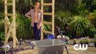 Hart of Dixie: Springtime in Bluebell - Landscaping