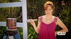 Hart of Dixie: Springtime in Bluebell - Garden Color